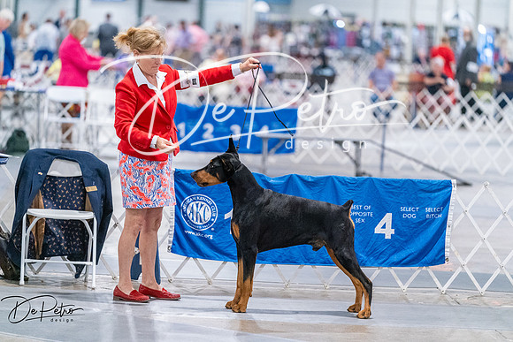 20260705-DSC07501