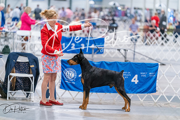 20260705-DSC07502