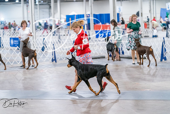 20260705-DSC07514