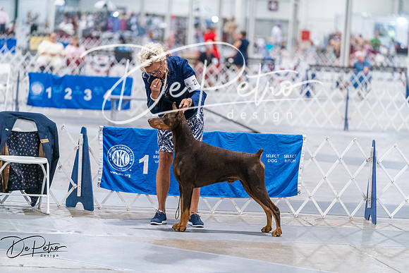 20260705-DSC07582