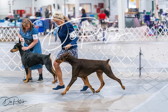 20260705-DSC07596