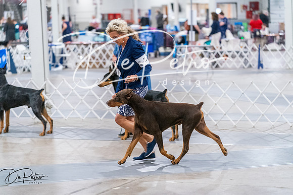 20260705-DSC07601