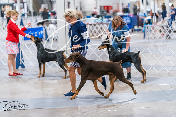 20260705-DSC07606