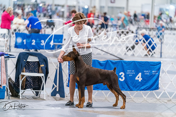 20260705-DSC07644