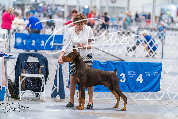 20260705-DSC07645