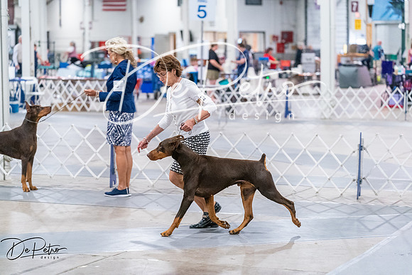20260705-DSC07660