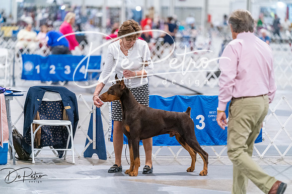 20260705-DSC07650