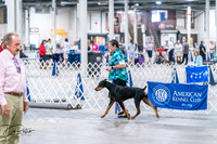 20260705-DSC06690