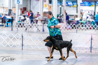 20260705-DSC06730