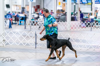 20260705-DSC06735