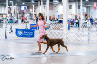 20260705-DSC06781