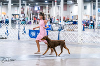 20260705-DSC06785