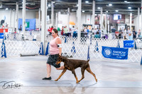 20260705-DSC06774
