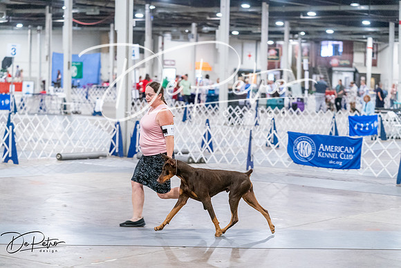 20260705-DSC06774