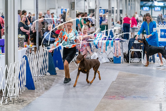 20260705-DSC07843