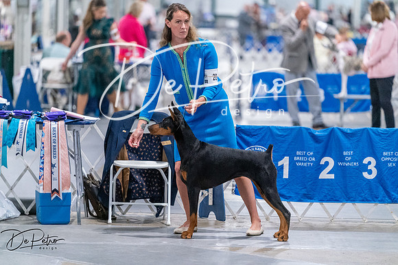 20260705-DSC07847