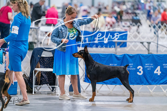 20260705-DSC07917