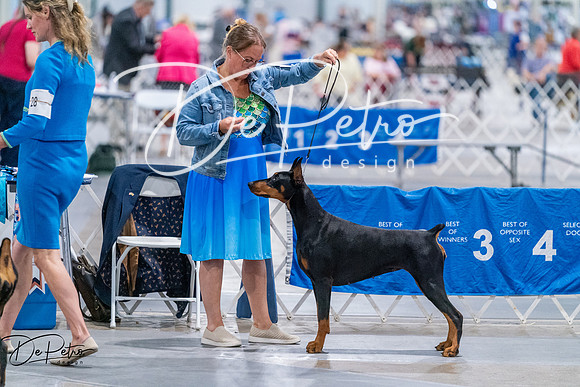 20260705-DSC07918