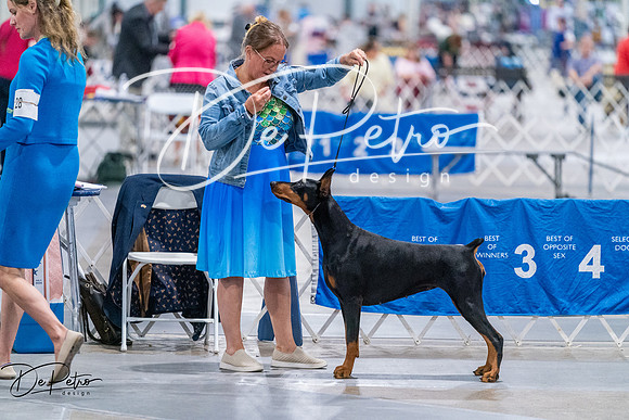 20260705-DSC07920