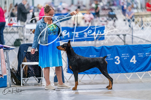 20260705-DSC07926