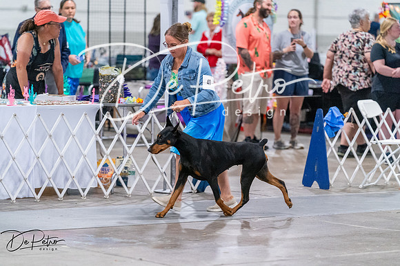 20260705-DSC07962
