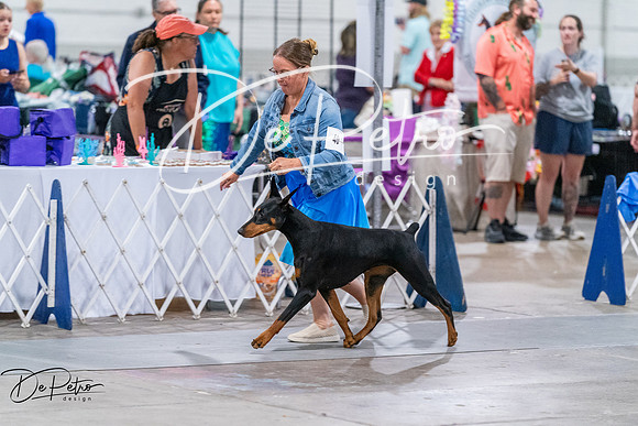20260705-DSC07966