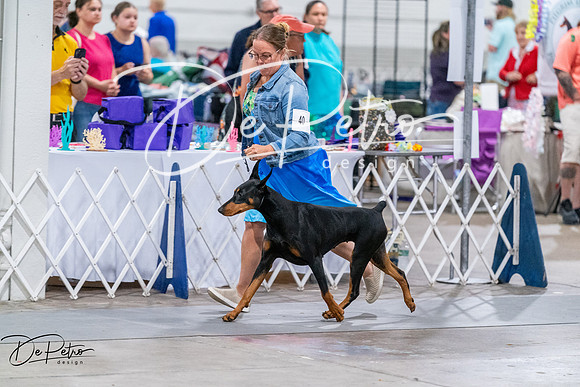 20260705-DSC07971