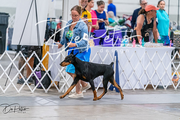 20260705-DSC07980