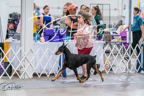 20260705-DSC08016