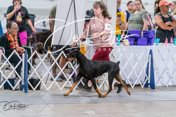 20260705-DSC08026