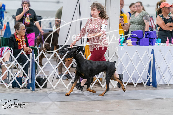 20260705-DSC08027