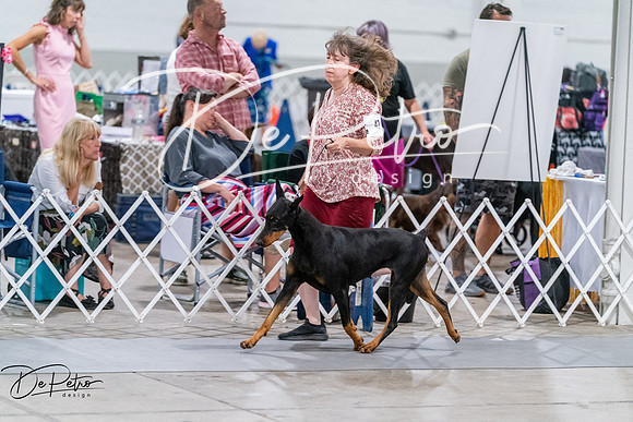 20260705-DSC08036