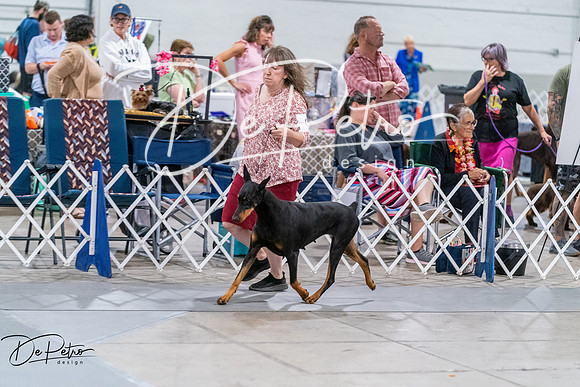 20260705-DSC08046