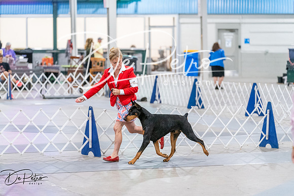 20260705-DSC08128
