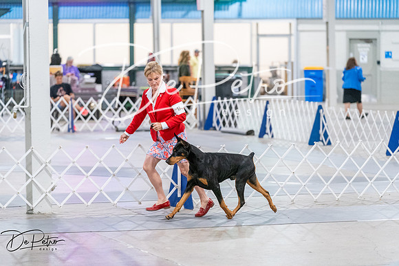 20260705-DSC08132