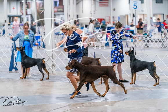 20260705-DSC08226