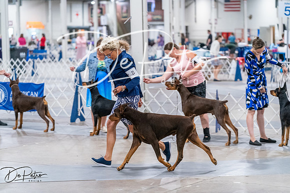 20260705-DSC08231