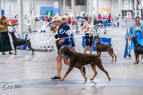 20260705-DSC08236