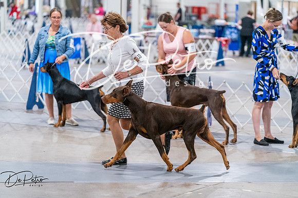 20260705-DSC08283