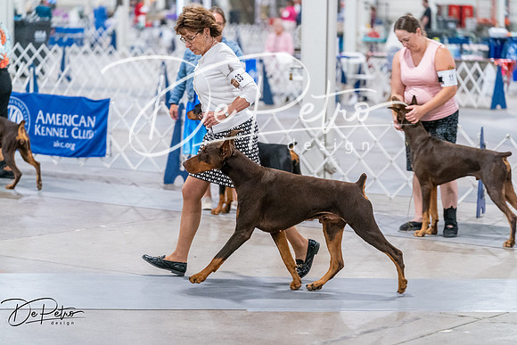 20260705-DSC08288