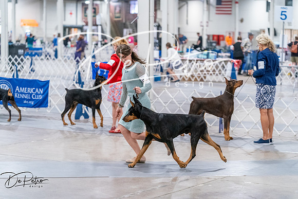 20260705-DSC08314