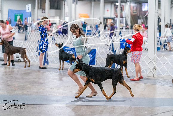 20260705-DSC08323