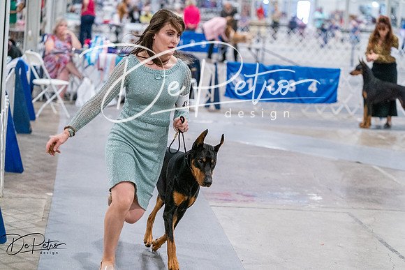 20260705-DSC08383