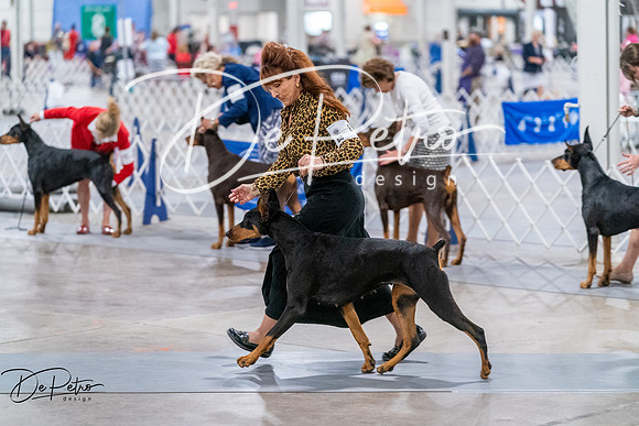 20260705-DSC08395