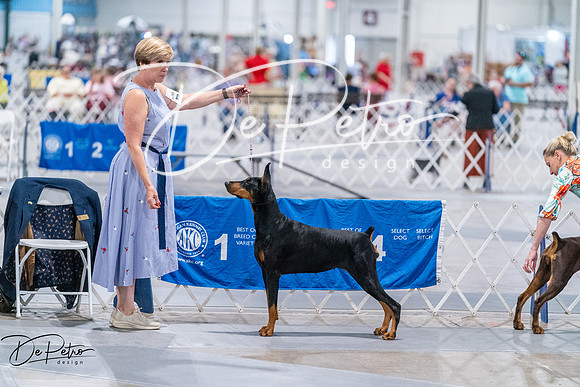 20260705-DSC08401
