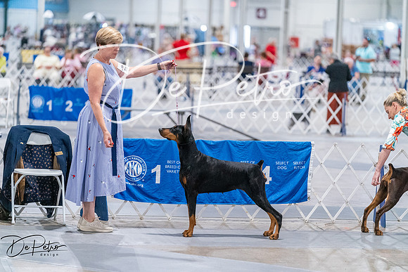 20260705-DSC08402