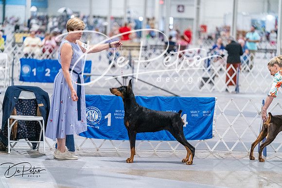20260705-DSC08404