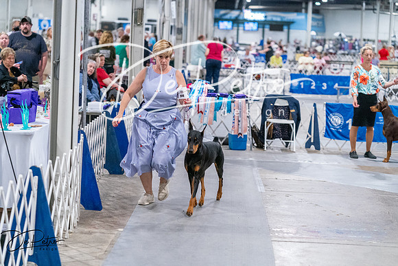 20260705-DSC08405