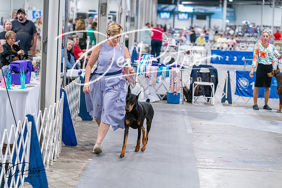 20260705-DSC08410