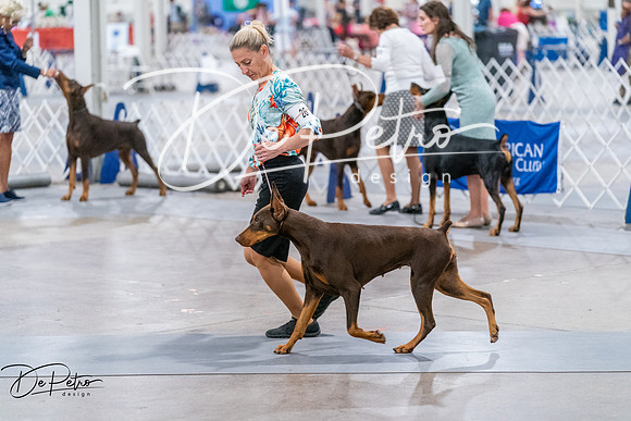 20260705-DSC08442